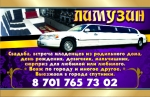 Limoozin 9 метров 10...